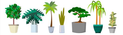 Image result for office plant images